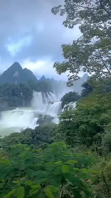 给领导请假老板你好好休息一下吧是什么意思？